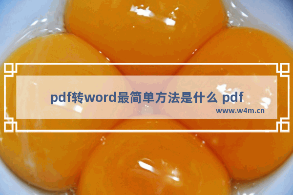 pdf转word最简单方法是什么 pdf转word免费的软件