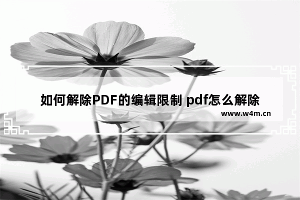 如何解除PDF的编辑限制 pdf怎么解除限制编辑