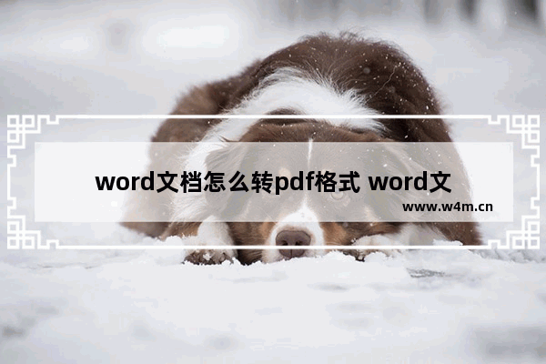 word文档怎么转pdf格式 word文档转pdf格式怎么弄