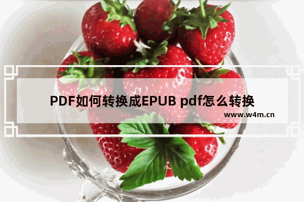 PDF如何转换成EPUB pdf怎么转换成epub格式