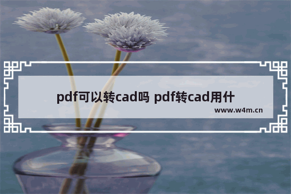 pdf可以转cad吗 pdf转cad用什么软件