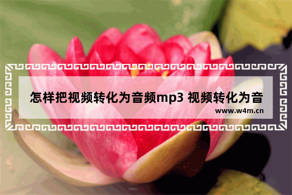 怎样把视频转化为音频mp3 视频转化为音频的软件