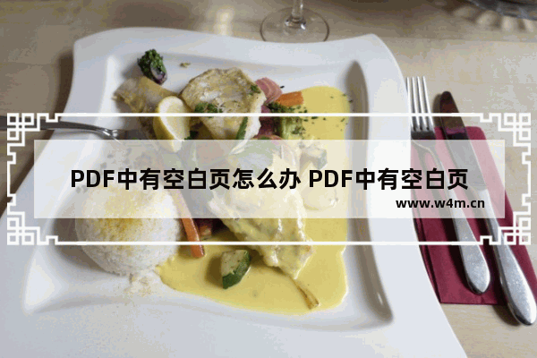 PDF中有空白页怎么办 PDF中有空白页怎么解决