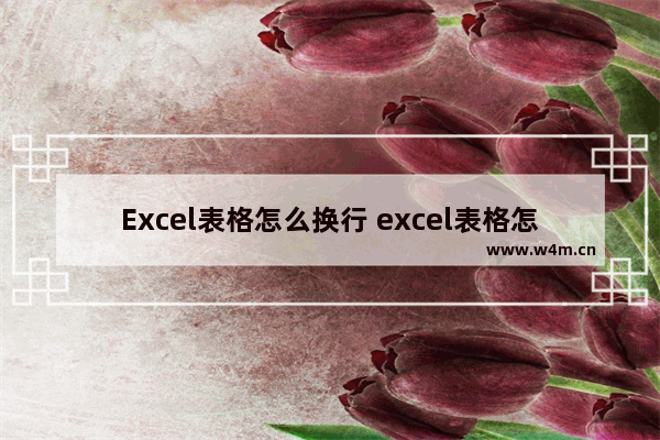 Excel表格怎么换行 excel表格怎么换行不换格