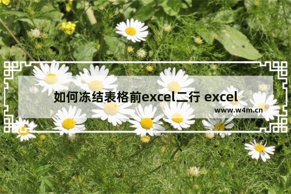 如何冻结表格前excel二行 excel如何冻结表格的前两行