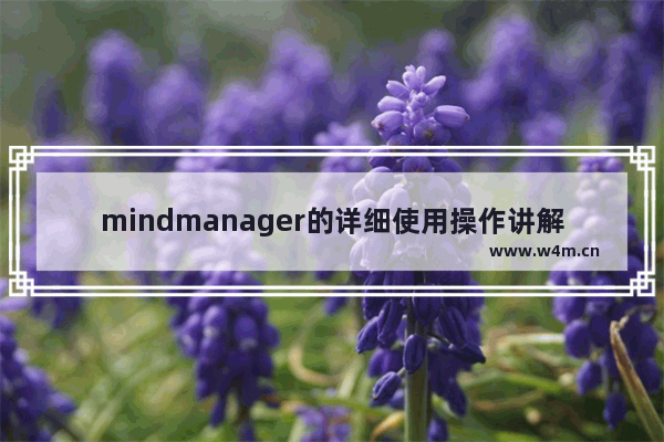 mindmanager的详细使用操作讲解