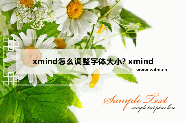 xmind怎么调整字体大小? xmind调整字体大小方法