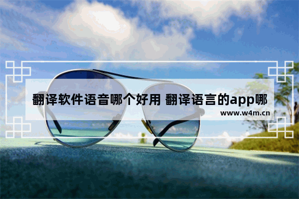 翻译软件语音哪个好用 翻译语言的app哪个最好