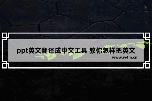 ppt英文翻译成中文工具 教你怎样把英文ppt翻译成中文