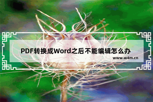 PDF转换成Word之后不能编辑怎么办 pdf怎么转换成word无法编辑