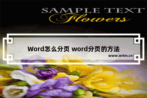 Word怎么分页 word分页的方法