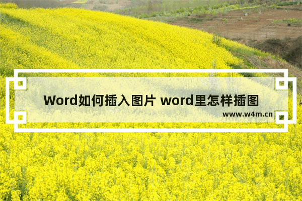 Word如何插入图片 word里怎样插图片