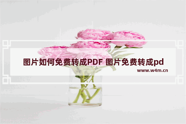 图片如何免费转成PDF 图片免费转成pdf软件有哪些