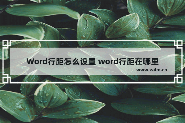 Word行距怎么设置 word行距在哪里调