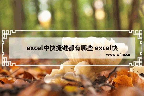 excel中快捷键都有哪些 excel快捷键大全完整版