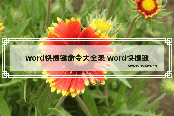 word快捷键命令大全表 word快捷键总结