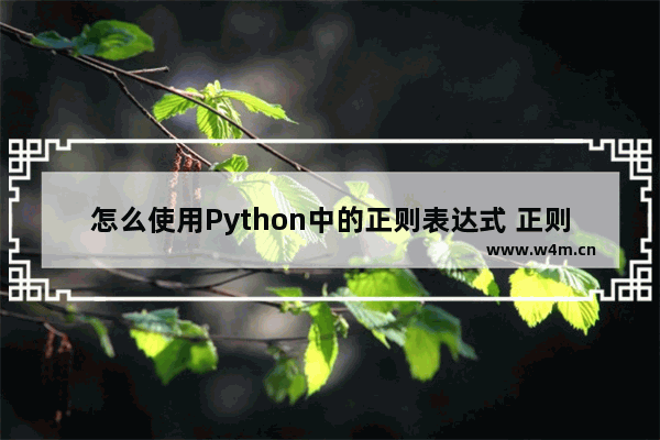 怎么使用Python中的正则表达式 正则表达式的语法