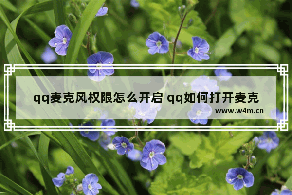 qq麦克风权限怎么开启 qq如何打开麦克风权限