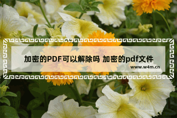 加密的PDF可以解除吗 加密的pdf文件怎么去掉加密