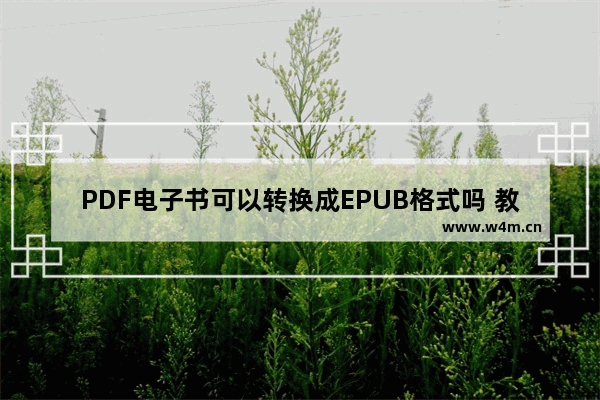 PDF电子书可以转换成EPUB格式吗 教你3个方法