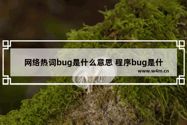 网络热词bug是什么意思 程序bug是什么意思