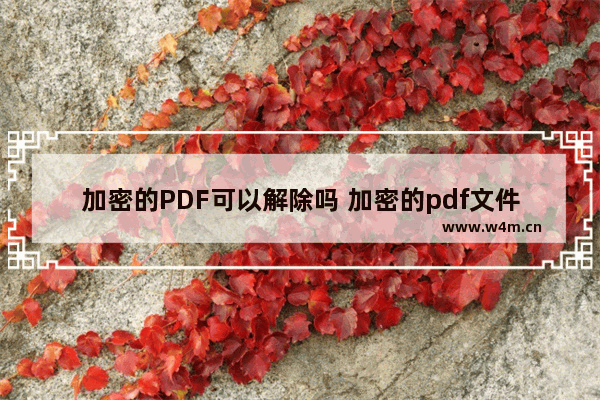 加密的PDF可以解除吗 加密的pdf文件怎么去掉加密