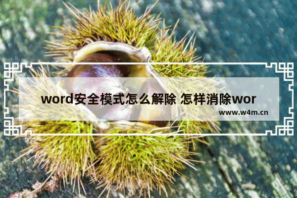 word安全模式怎么解除 怎样消除word安全模式