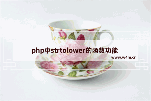 php中strtolower的函数功能 strtolower()函数的基本语法