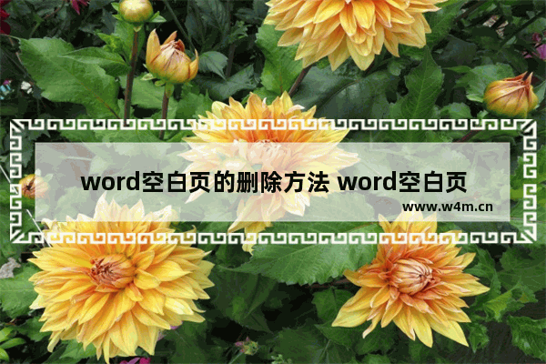 word空白页的删除方法 word空白页的删除技巧