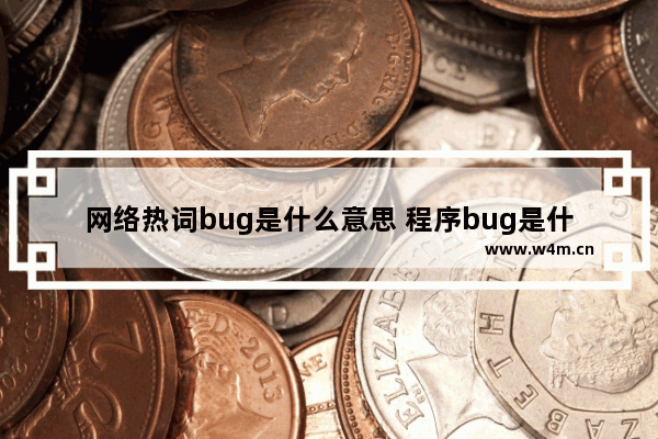 网络热词bug是什么意思 程序bug是什么意思