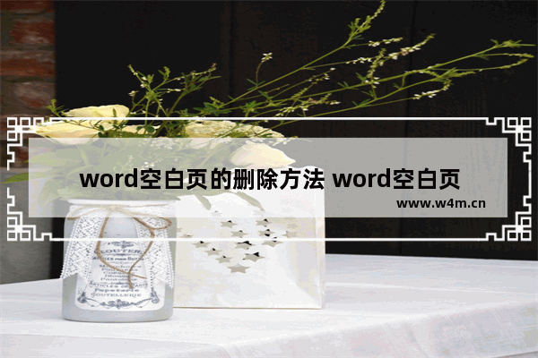 word空白页的删除方法 word空白页的删除技巧