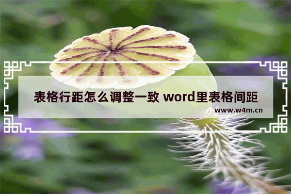 表格行距怎么调整一致 word里表格间距怎么统一调整