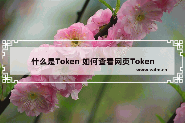 什么是Token 如何查看网页Token