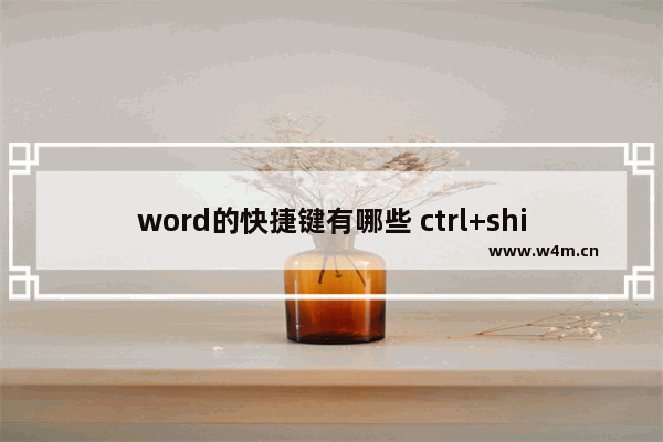 word的快捷键有哪些 ctrl+shift快捷键大全