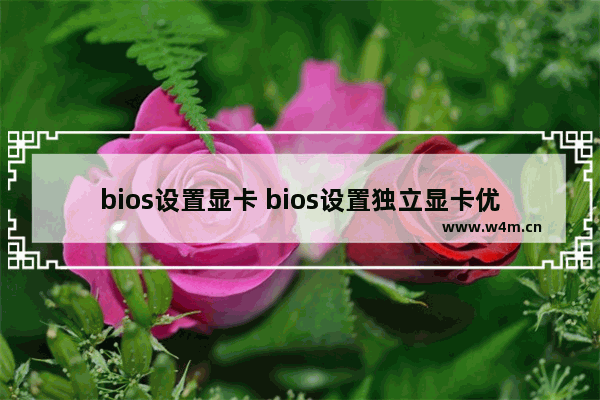 bios设置显卡 bios设置独立显卡优先