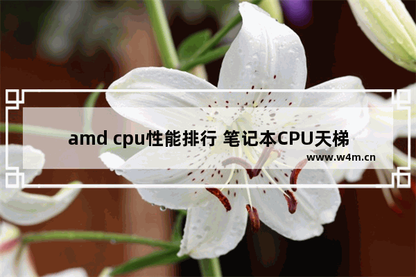 amd cpu性能排行 笔记本CPU天梯图2023年3月最新排名