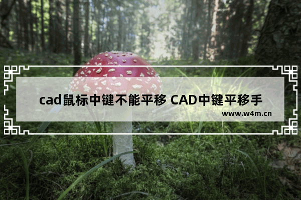 cad鼠标中键不能平移 CAD中键平移手柄丢失怎么设置