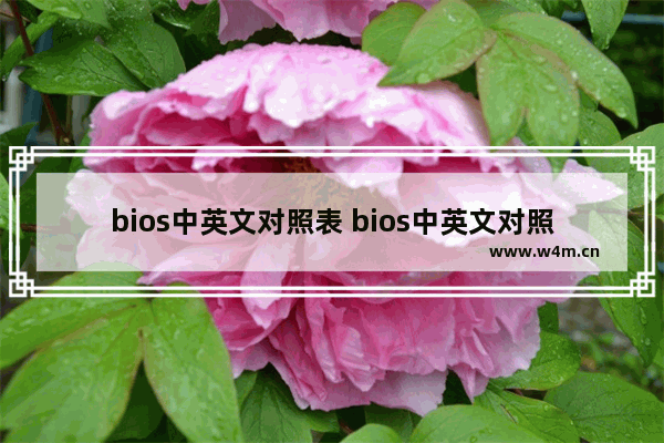 bios中英文对照表 bios中英文对照表2011