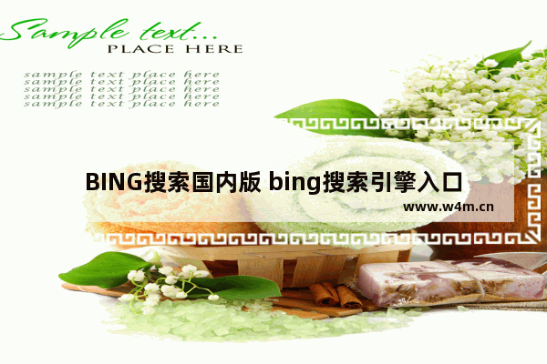 BING搜索国内版 bing搜索引擎入口国内版