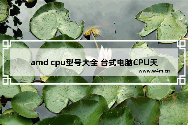 amd cpu型号大全 台式电脑CPU天梯图