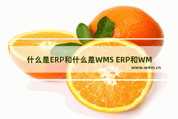 什么是ERP和什么是WMS ERP和WMS的区别