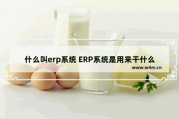 什么叫erp系统 ERP系统是用来干什么的