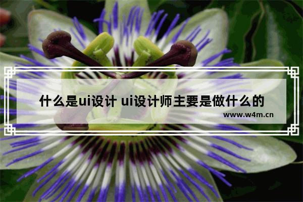 什么是ui设计 ui设计师主要是做什么的呢