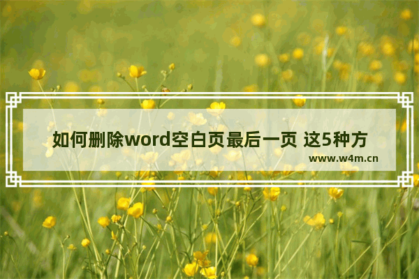 如何删除word空白页最后一页 这5种方法，1秒删干净