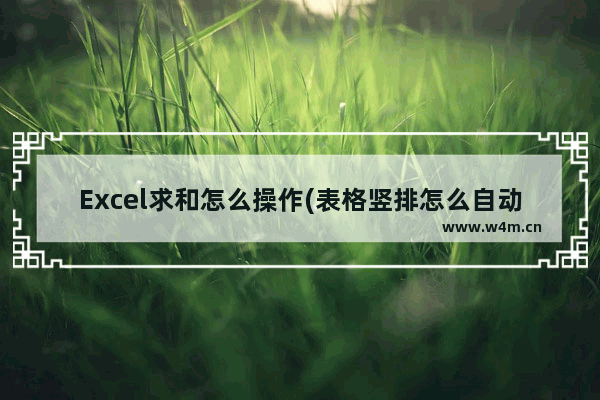 Excel求和怎么操作(表格竖排怎么自动求和教程)