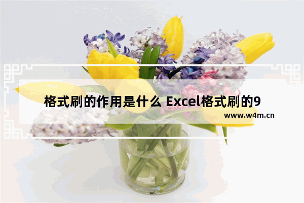 格式刷的作用是什么 Excel格式刷的9个使用小技巧