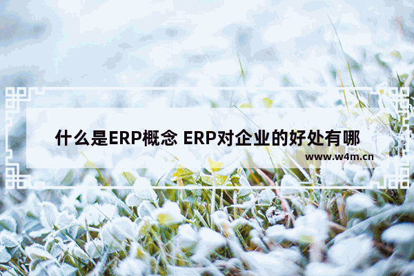 什么是ERP概念 ERP对企业的好处有哪些