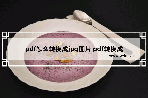 pdf怎么转换成jpg图片 pdf转换成jpg的免费软件有哪些