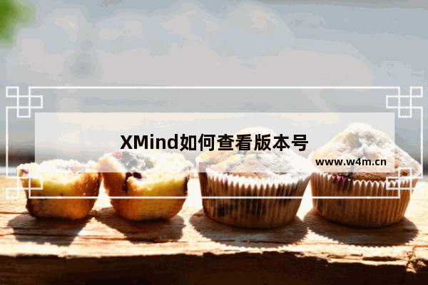 XMind如何查看版本号