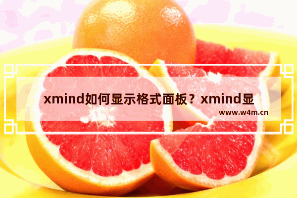 xmind如何显示格式面板？xmind显示格式面板的方法